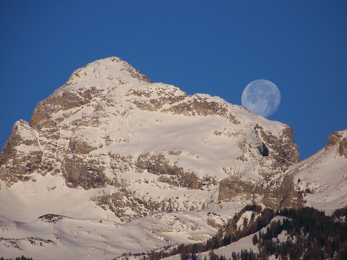 Photo by Mike Nicklas